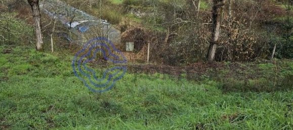 30550m² Land in Amarante, Portugal No. 56639 18