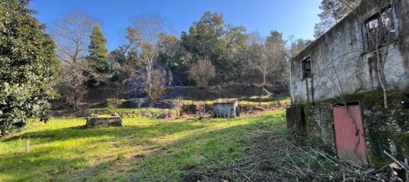 30550m² Land in Amarante, Portugal No. 56639 6