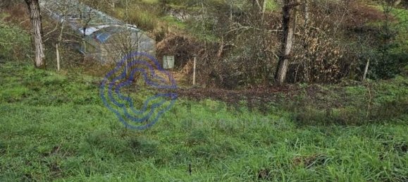 30550m² Land in Amarante, Portugal No. 56639 25