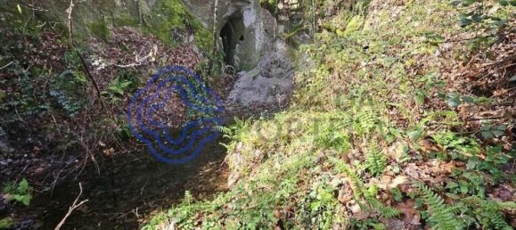 30550m² Land in Amarante, Portugal No. 56639 10