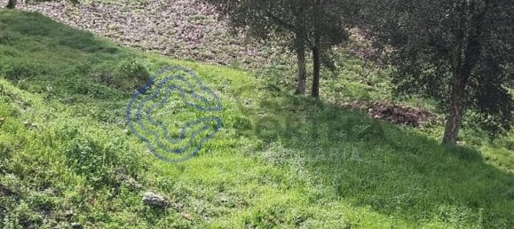 30550m² Land in Amarante, Portugal No. 56639 30