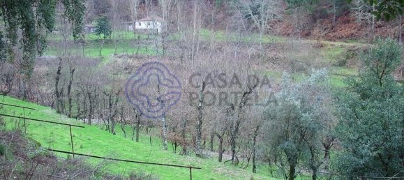 30550m² Land in Amarante, Portugal No. 56639 37