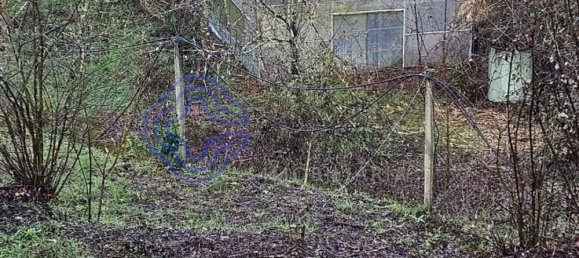 30550m² Land in Amarante, Portugal No. 56639 24