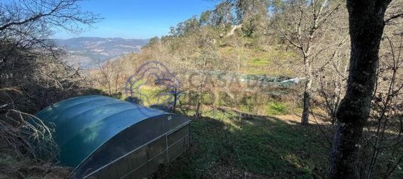 30550m² Land in Amarante, Portugal No. 56639 8