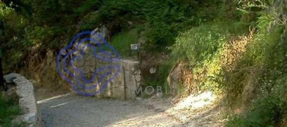 30550m² Land in Amarante, Portugal No. 56639 36