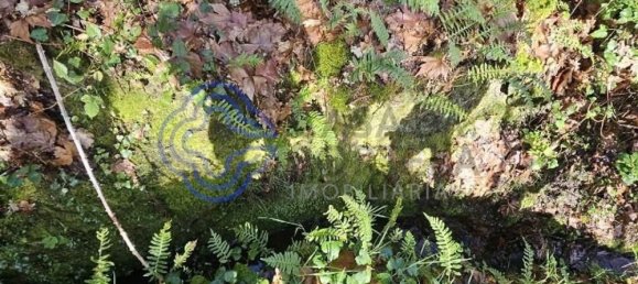 30550m² Land in Amarante, Portugal No. 56639 14