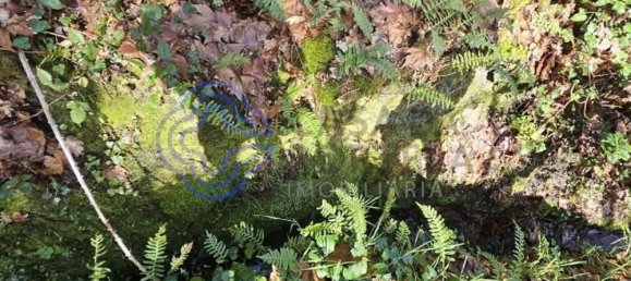 30550m² Land in Amarante, Portugal No. 56639 12