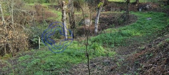 30550m² Land in Amarante, Portugal No. 56639 19