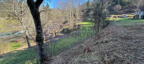 30550m² Land in Amarante, Portugal No. 56639 5