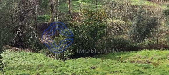 30550m² Land in Amarante, Portugal No. 56639 31