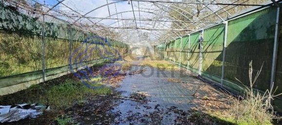 30550m² Land in Amarante, Portugal No. 56639 9