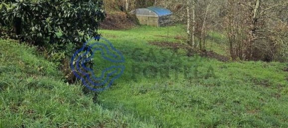 30550m² Land in Amarante, Portugal No. 56639 20