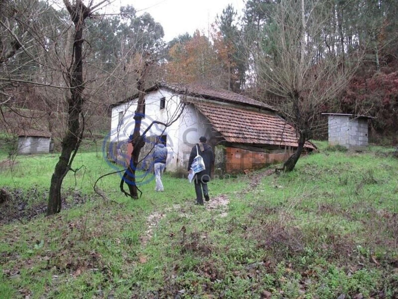 30550m² Land in Amarante, Portugal No. 56639