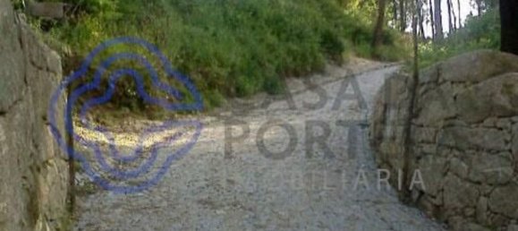 30550m² Land in Amarante, Portugal No. 56639 35