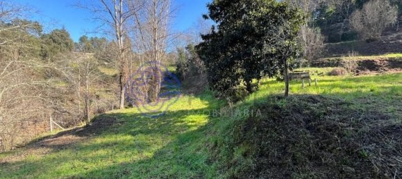 30550m² Land in Amarante, Portugal No. 56639 3