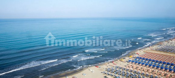 1 room Commercial property in Camaiore, Italy No. 211007 3