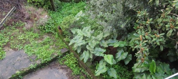 4 chambres Maison à Lourical do Campo, Portugal No. 160585 16
