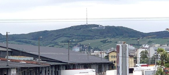 2 rooms Apartment in Leopoldstadt, Austria No. 21051 13