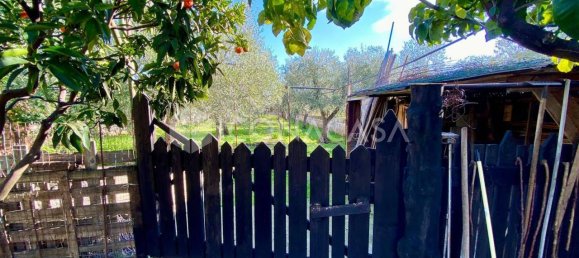 4 rooms Villa in Bitonto, Italy No. 22403 15