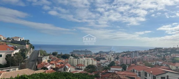 5 chambres Villa à Funchal, Portugal No. 131988 5