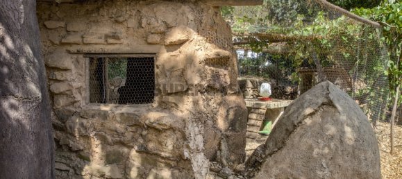 3 bedrooms House in Monchique, Portugal No. 295844 9