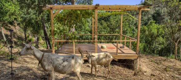 3 bedrooms House in Monchique, Portugal No. 295844 7