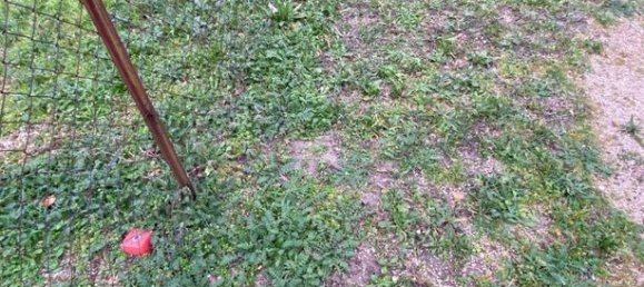 Terreno en Jonquieres, France 500 m² No. 301970 12