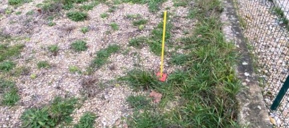 Terreno en Jonquieres, France 500 m² No. 301970 14