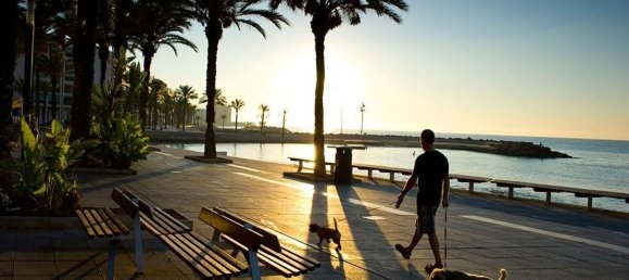 3 Schlafzimmer Haus in Alicante, Spain, Nr. 90111 23