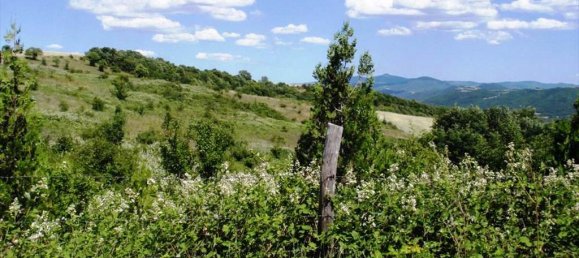 23750m² Hotel in Thessaloniki, Greece No. 7139 5