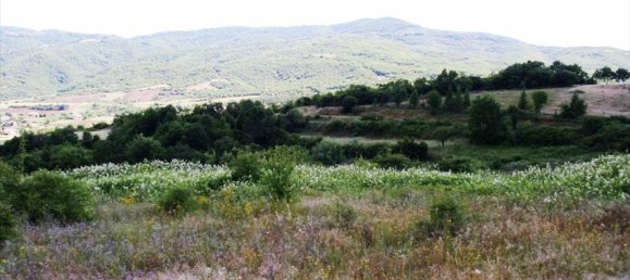 23750m² Hotel in Thessaloniki, Greece No. 7139 11