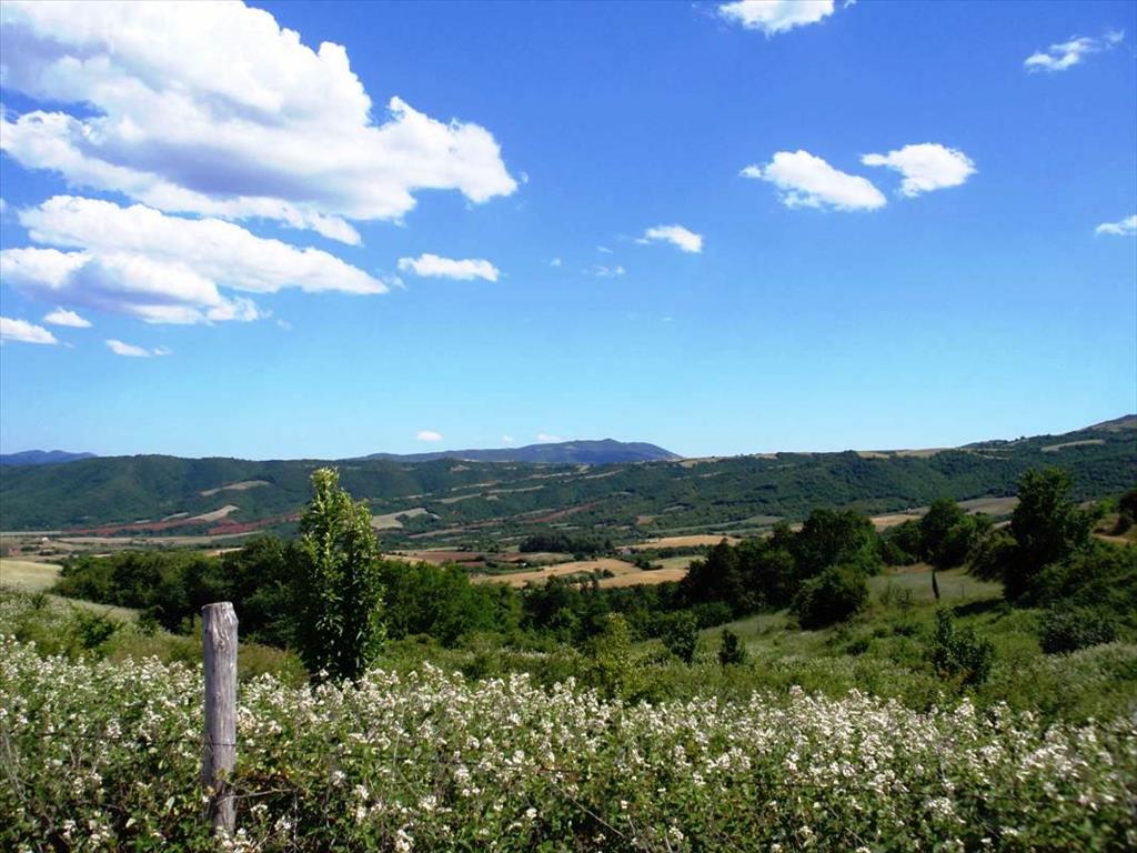 23750m² Hotel in Thessaloniki, Greece No. 7139