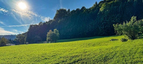 Terrain à Scharnstein, Austria No. 162864 3