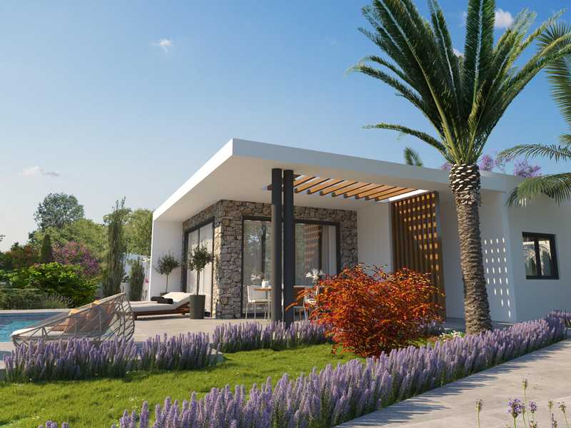 3 Schlafzimmer Villa in Pegeia, Cyprus, Nr. 20315