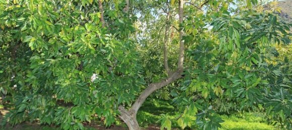 1 bedroom House in Tolox, Spain No. 85300 26