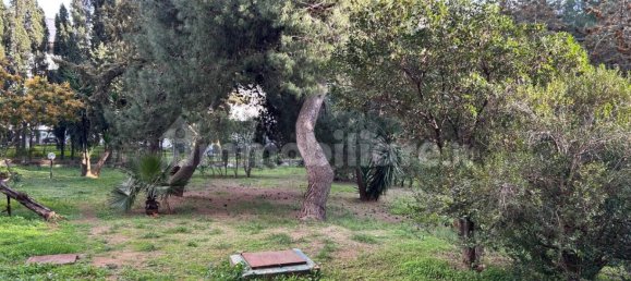 3 Schlafzimmer Wohnung in Sassari, Italy, Nr. 84368 4