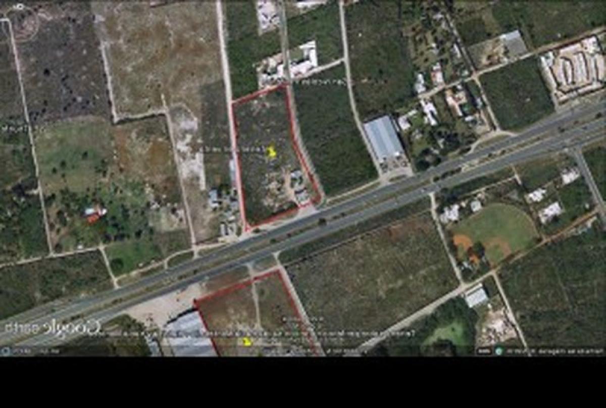  Land in Merida, Mexico No. 119134