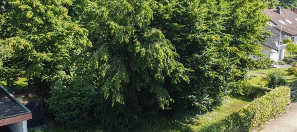 Grundstück in Hochsauerlandkreis, Germany, Nr. 328919 2