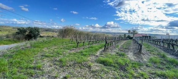 2640m² Land in Alenquer, Portugal No. 94515 23