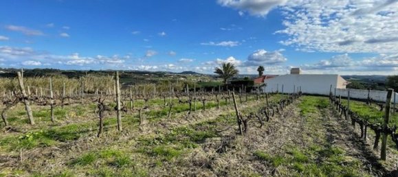 2640m² Land in Alenquer, Portugal No. 94515 2