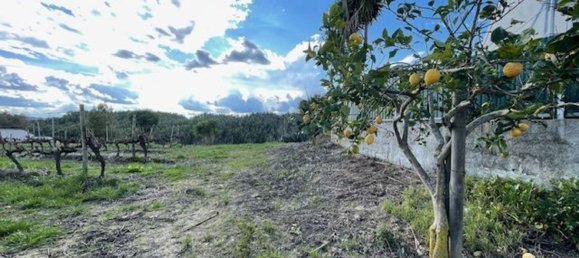 2640m² Land in Alenquer, Portugal No. 94515 13