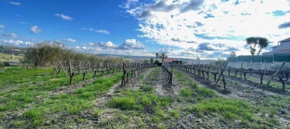 2640m² Land in Alenquer, Portugal No. 94515 24