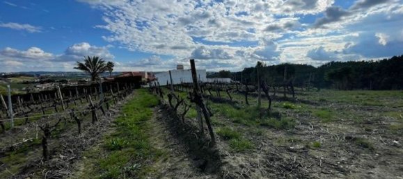 2640m² Land in Alenquer, Portugal No. 94515 9