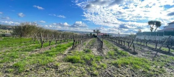 2640m² Land in Alenquer, Portugal No. 94515 27