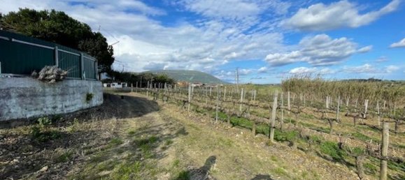 2640m² Land in Alenquer, Portugal No. 94515 4