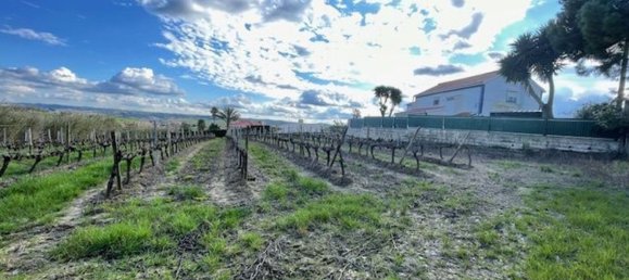 2640m² Land in Alenquer, Portugal No. 94515 20