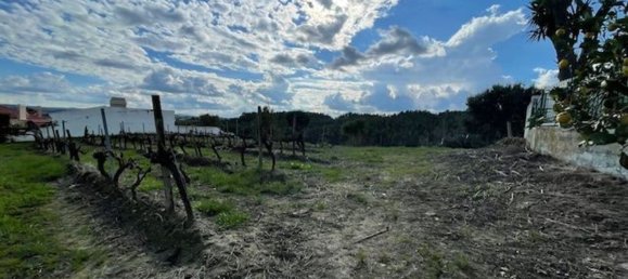 2640m² Land in Alenquer, Portugal No. 94515 10