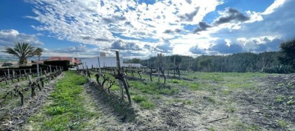 2640m² Land in Alenquer, Portugal No. 94515 11