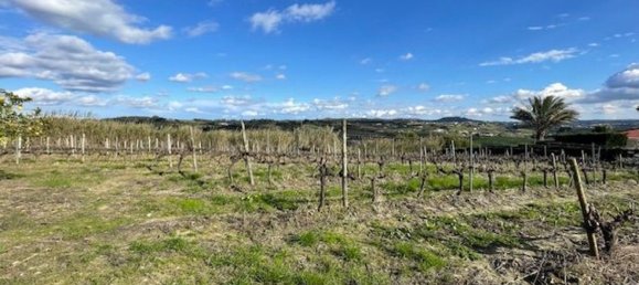 2640m² Land in Alenquer, Portugal No. 94515 3