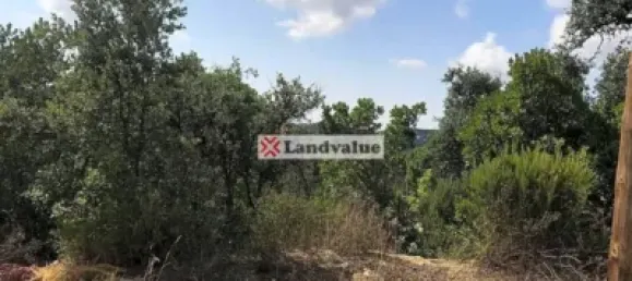 Земельный участок 732м² в Видререс, Испания № 144307 2